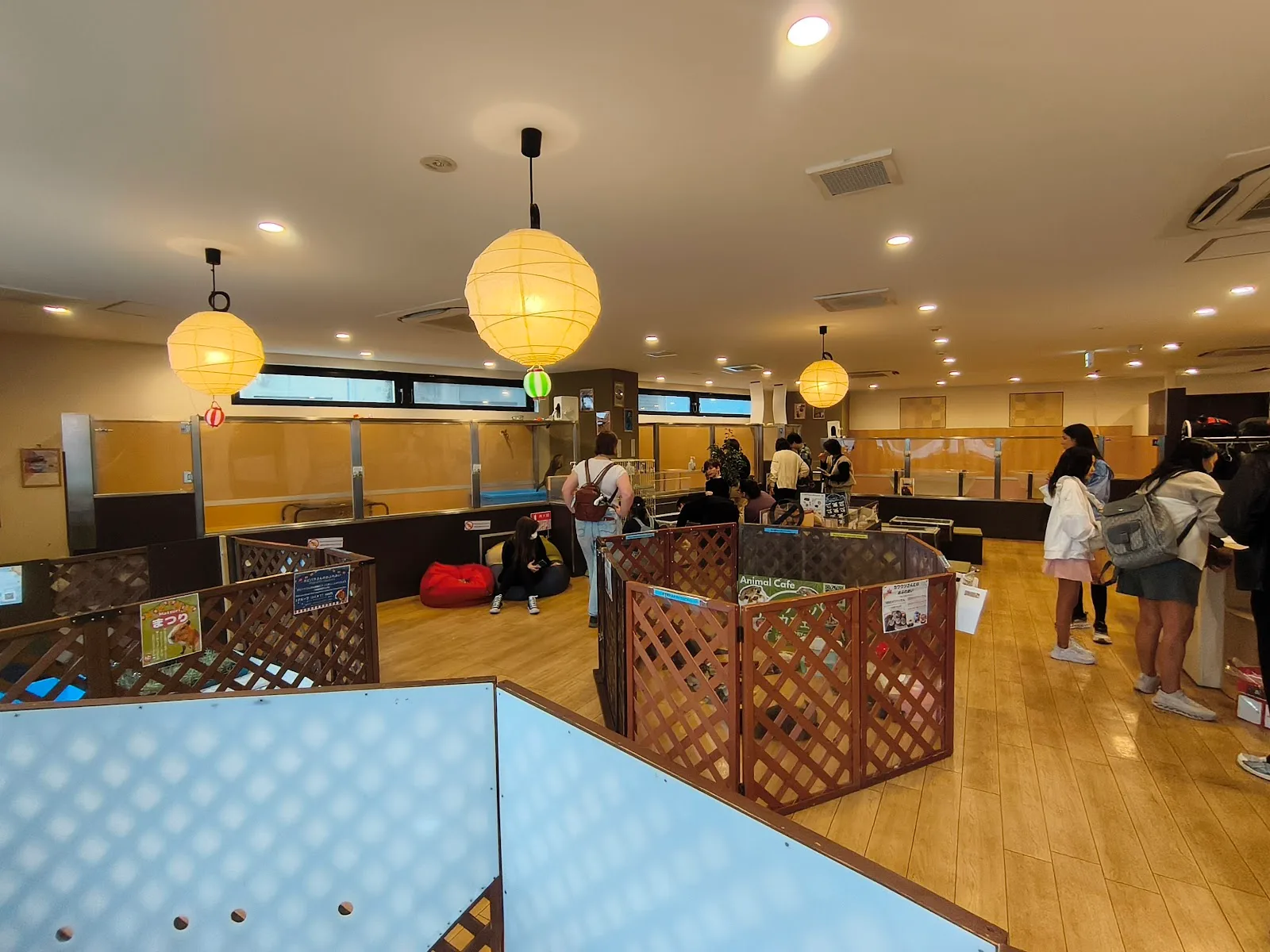 カワウソカフェ®︎HARRY浅草店